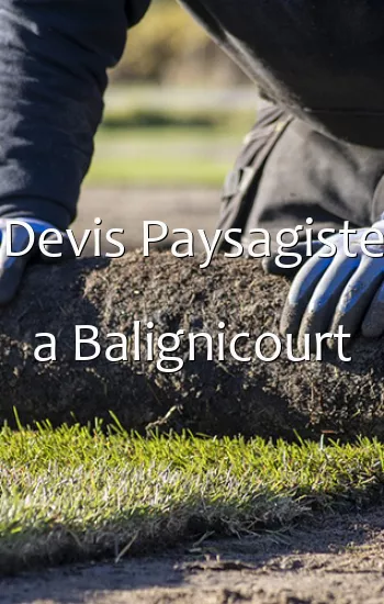 Devis Paysagiste a Balignicourt