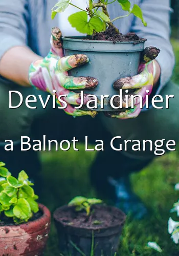 Devis Jardinier a Balnot La Grange