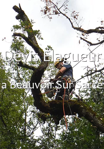 Devis Elagueur a Beauvoir Sur Sarce