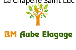 elagage-bm-elagueur