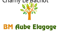 elagage-bm-elagueur