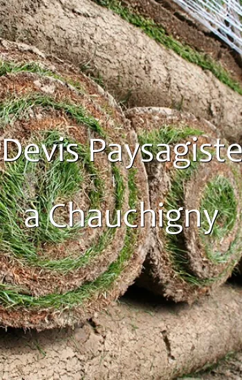 Devis Paysagiste a Chauchigny