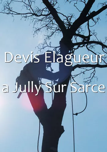 Devis Elagueur a Jully Sur Sarce