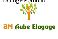 elagage-bm-elagueur