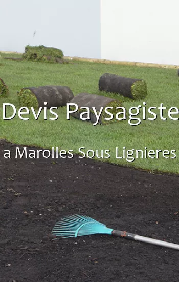 Devis Paysagiste a Marolles Sous Lignieres