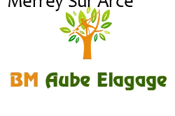 elagage-bm-elagueur
