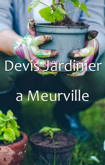 Devis Jardinier a Meurville