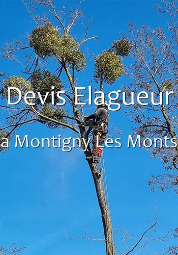 Devis Elagueur a Montigny Les Monts