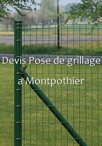 Devis Pose de grillage a Montpothier