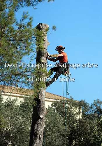Devis Entreprise abattage arbre a Pont Sur Seine