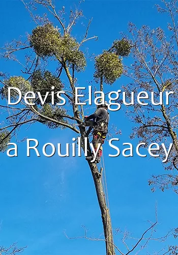 Devis Elagueur a Rouilly Sacey