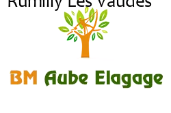 elagage-bm-elagueur