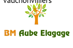 elagage-bm-elagueur