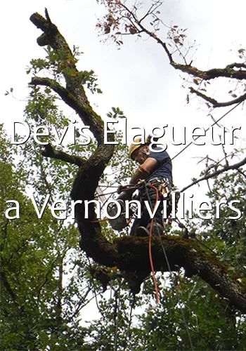 Devis Elagueur a Vernonvilliers
