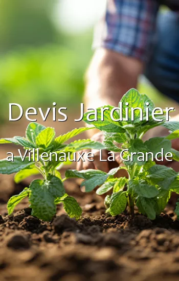 Devis Jardinier a Villenauxe La Grande