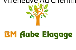 elagage-bm-elagueur