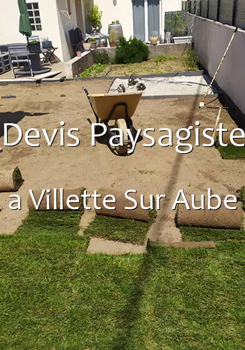 Devis Paysagiste a Villette Sur Aube