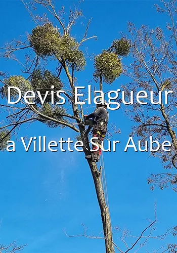 Devis Elagueur a Villette Sur Aube