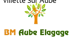 elagage-bm-elagueur
