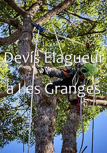 Devis Elagueur a Les Granges